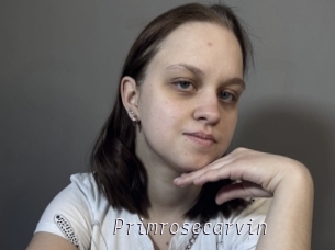 Primrosecarvin
