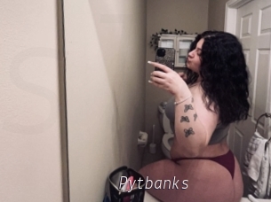 Pytbanks