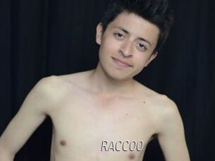 RACCOO