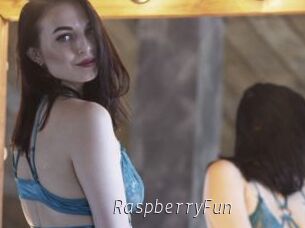 RaspberryFun