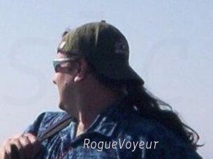RogueVoyeur