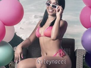 Rileynacci