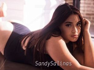 SandySalinas
