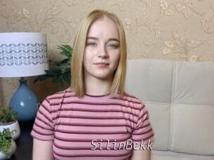 SilinBekk