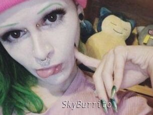 SkyBurrito
