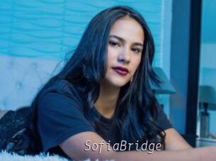 SofiaBridge