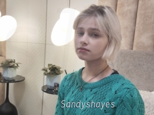 Sandyshayes