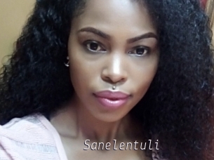 Sanelentuli