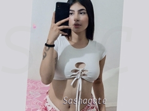 Sashagate