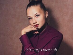 Shineflowerbb