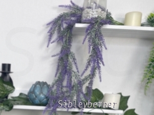 Sibleyberner