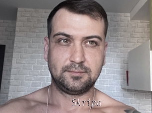 Skripa