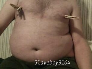 Slaveboy3164