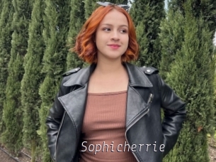 Sophicherrie