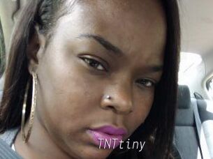 T_N_Ttiny