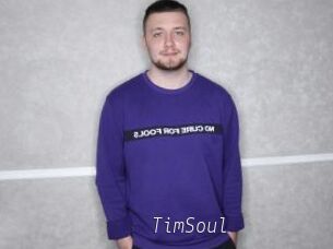 TimSoul