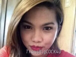 TransBigCOCK4u