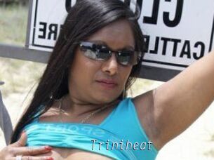 Triniheat