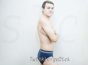 TwinkLargeDick