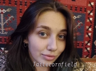 Taitecornfield