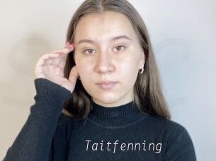 Taitfenning
