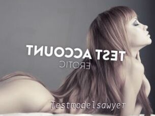 Testmodelsawyer