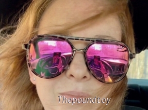 Thepoundtoy