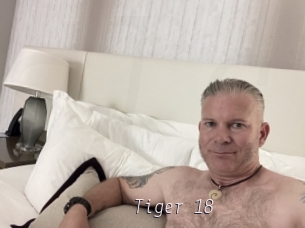 Tiger_18