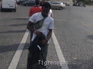 Tigrenegro