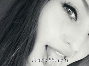 Tinyrabbitcol