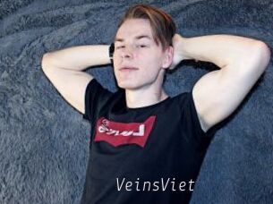 VeinsViet