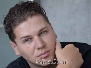 VelosaDavid