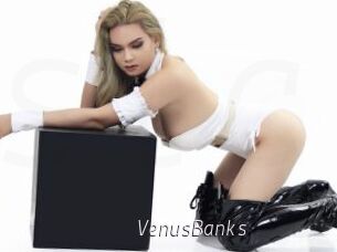 VenusBanks