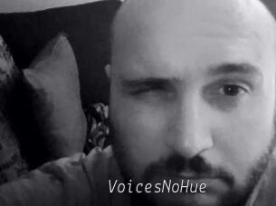 VoicesNoHue