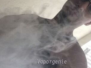 Vapor_genie