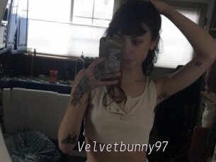 Velvetbunny97