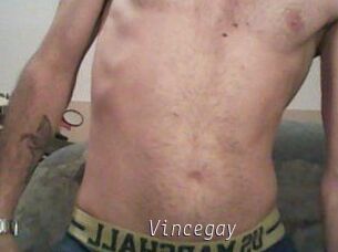 Vincegay