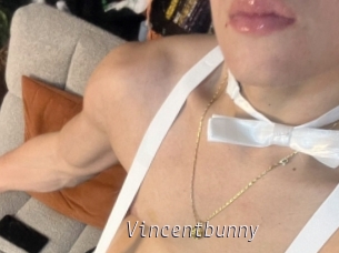 Vincentbunny