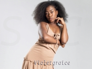 Violetgraice