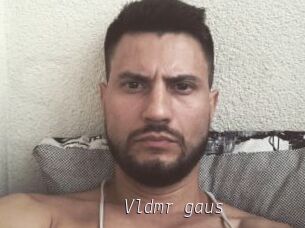 Vldmr_gaus