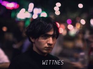 WITTNES