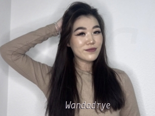 Wandadrye