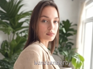Wandaenderby