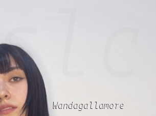 Wandagallamore