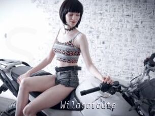 Wildcatcute