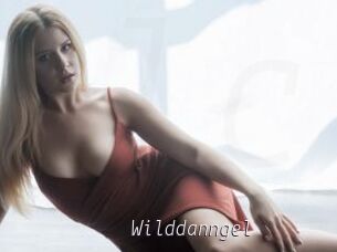 Wilddanngel