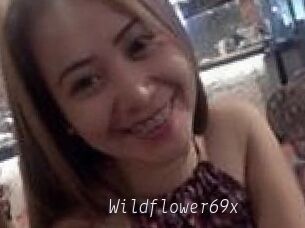 Wildflower69x