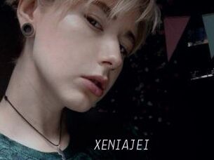 XENIA_JEI