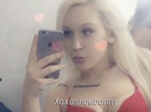 Xoxosnowbunny