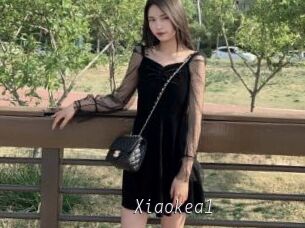 Xiaokea1